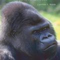 Cover Art for 9780780767829, Gorillas by Caroline E. Walsh