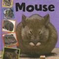 Cover Art for 9780749673598, Mouse by Barrie Watts