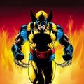 Cover Art for 9780785167105, Wolverine by Hachette Australia