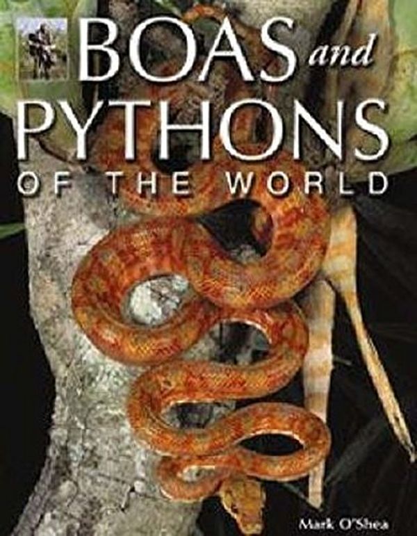 Cover Art for 9781845375447, Boas And Pythons Of The World by O Shea Mark