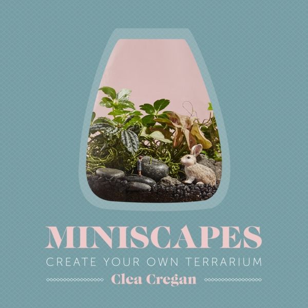 Cover Art for 9781743791400, Miniscapes by Clea Cregan