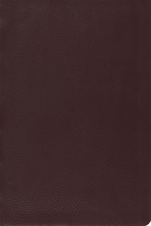 Cover Art for 9781433532788, ESV Large Print Thinline Reference Bible by Crossway Bibles