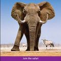 Cover Art for 9781740592239, Lonely Planet Southern Africa by David Else, Mary Fitzpatrick, Paul Greenway, Andrew Stone