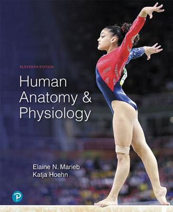 Cover Art for 9780134580999, Human Anatomy & Physiology by Elaine Marieb, Katja Hoehn