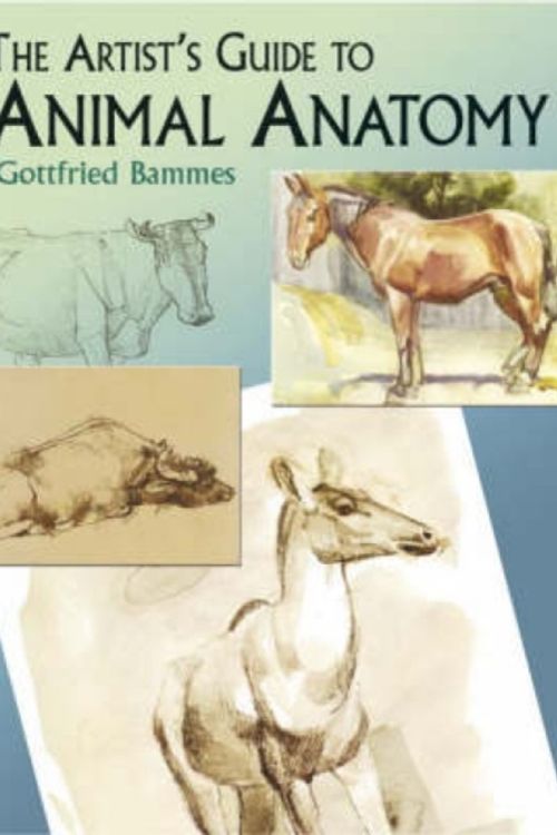 Cover Art for 9780486436401, The Artist’s Guide to Animal Anatomy by Gottfried Bammes