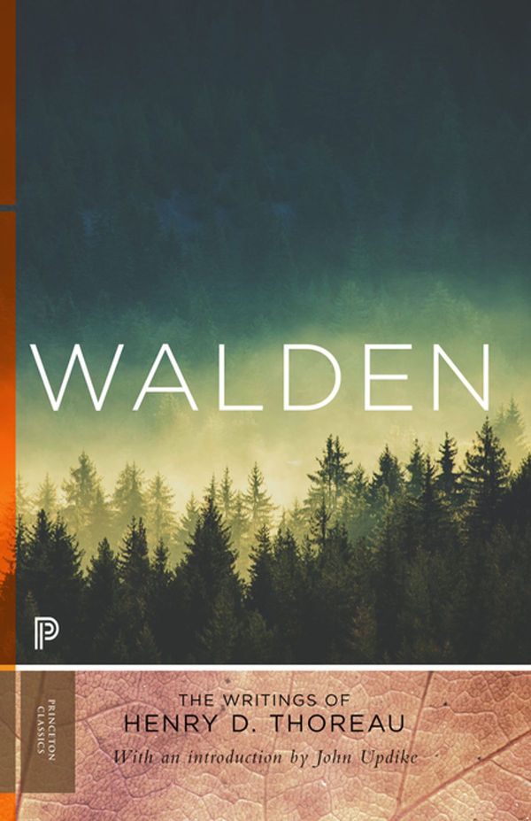 Cover Art for 9781400880799, Walden by Henry D. Thoreau