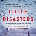 Cover Art for 9781508267959, Little Disasters by Sarah Vaughan