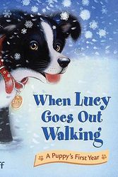 Cover Art for 9780805081688, When Lucy Goes Out Walking by Ashley Wolff