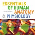 Cover Art for 9780805373288, Essentials of Human Anatomy & Physiology by Elaine N. Marieb