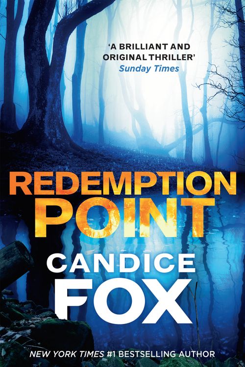 Cover Art for 9780143793366, Redemption Point by Candice Fox