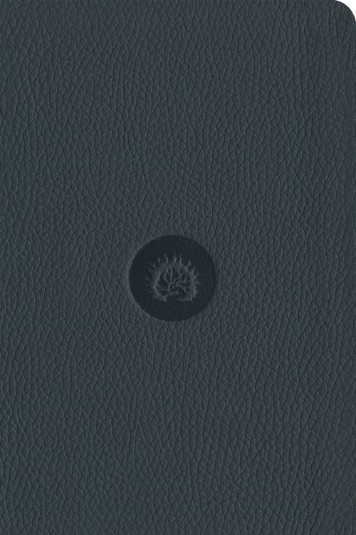 Cover Art for 9781642893779, ESV Reformation Study Bible, Student Edition - Midnight Blue, Premium Leather by R. C. Sproul