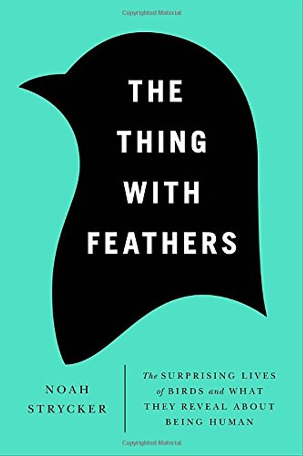Cover Art for 9781594486357, The Thing with Feathers by Noah Strycker