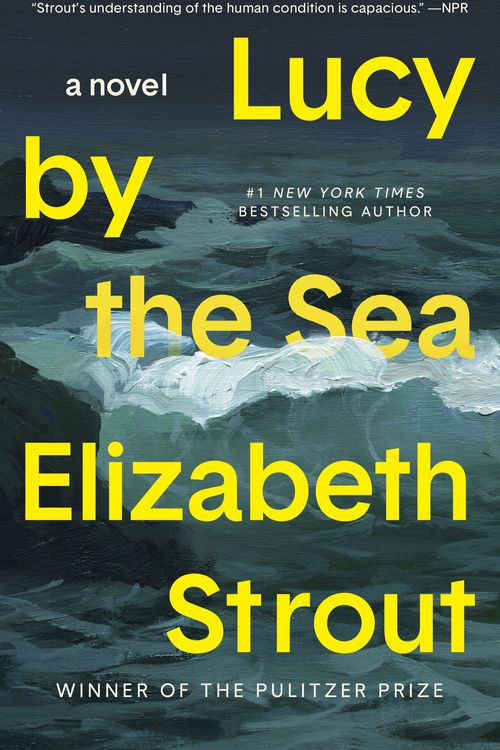 Cover Art for 9780593446089, Lucy by the Sea by Elizabeth Strout, Kimberly Farr