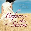 Cover Art for 9781742787558, Before the Storm by Diane Chamberlain