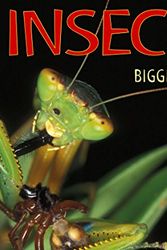 Cover Art for 9781590785126, Insects by Sandra Markle