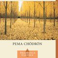 Cover Art for 9780834821002, When Things Fall Apart: Heart Advice for Difficult Times by Pema Chodron