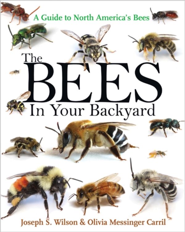 Cover Art for 9780691160771, The Bees in Your Backyard: A Guide to North America's Bees by Joseph S. Wilson