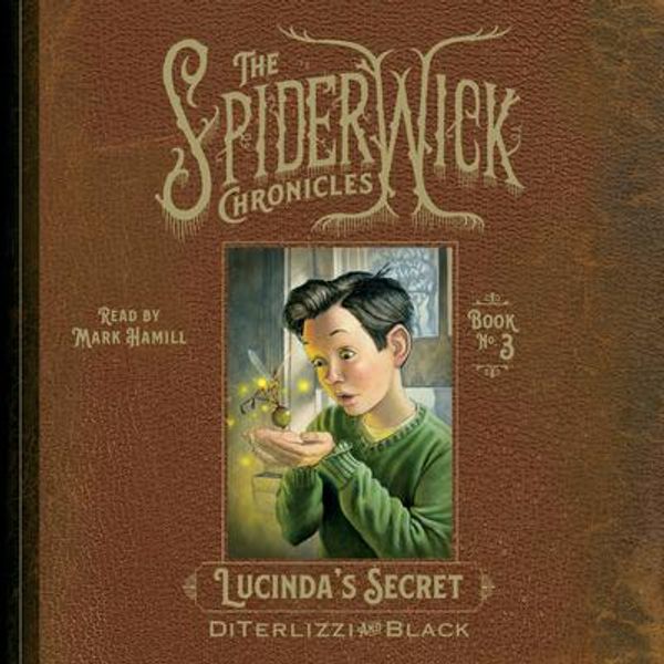 Cover Art for 9781797156668, Lucinda's Secret by Tony Diterlizzi