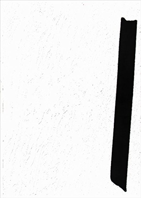 Cover Art for 9789490119553, Stephan Keppel - Flat Finish ( New York ) by Stephan Keppel