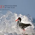 Cover Art for 9780008336202, Bird Photographer of the Year: Collection 5 (Bird Photographer of the Year) by Bird Photographer of the Year