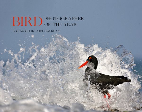 Cover Art for 9780008336202, Bird Photographer of the Year: Collection 5 (Bird Photographer of the Year) by Bird Photographer of the Year