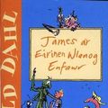 Cover Art for 9781904357025, James a'r Eirinen Wlanog Enfawr by Roald Dahl