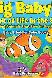 Cover Art for 9781683266723, Big Baby's Book of Life in the SeaAmazing Animals That Live in the Water - Baby &... by Baby Professor