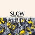 Cover Art for 9781780262833, Slow Fashion by Safia Minney
