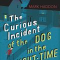Cover Art for 9780099572831, The Curious Incident of the Dog in the Night-Time by Mark Haddon