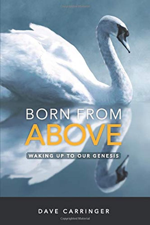 Cover Art for 9781734354607, BORN FROM ABOVE: Waking Up to Our Genesis by Dave Carringer