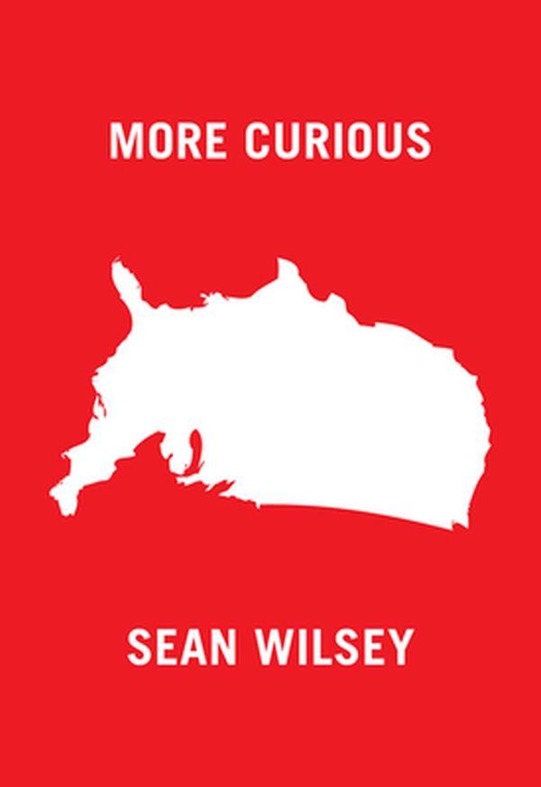 Cover Art for 9781940450179, More Curious by Sean Wilsey