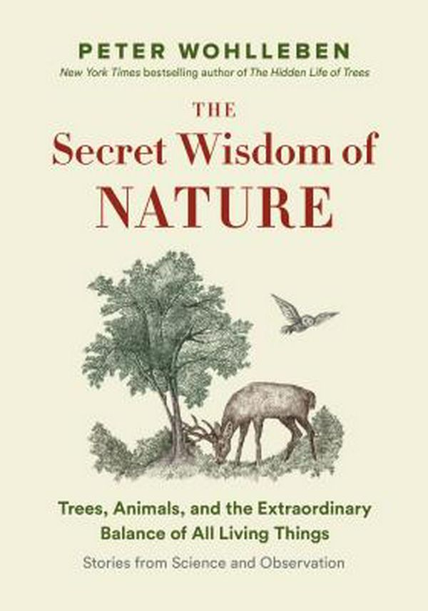 Cover Art for 9781771643887, The Secret Network of NatureThe Delicate Balance of All Living Things by Peter Wohlleben