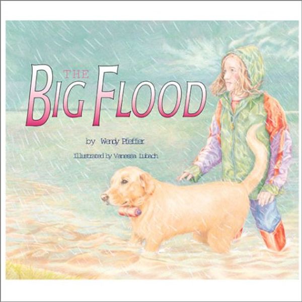 Cover Art for 9780761316534, The Big Flood by Wendy Pfeffer, Vanessa Lubach