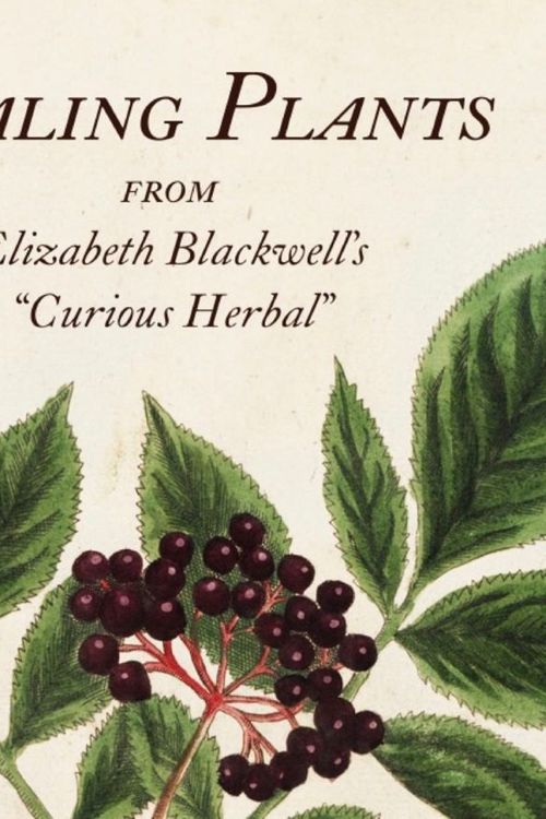 Cover Art for 9780789214812, Healing Plants: From Elizabeth Blackwell's A Curious Herbal by Marta Mcdowell