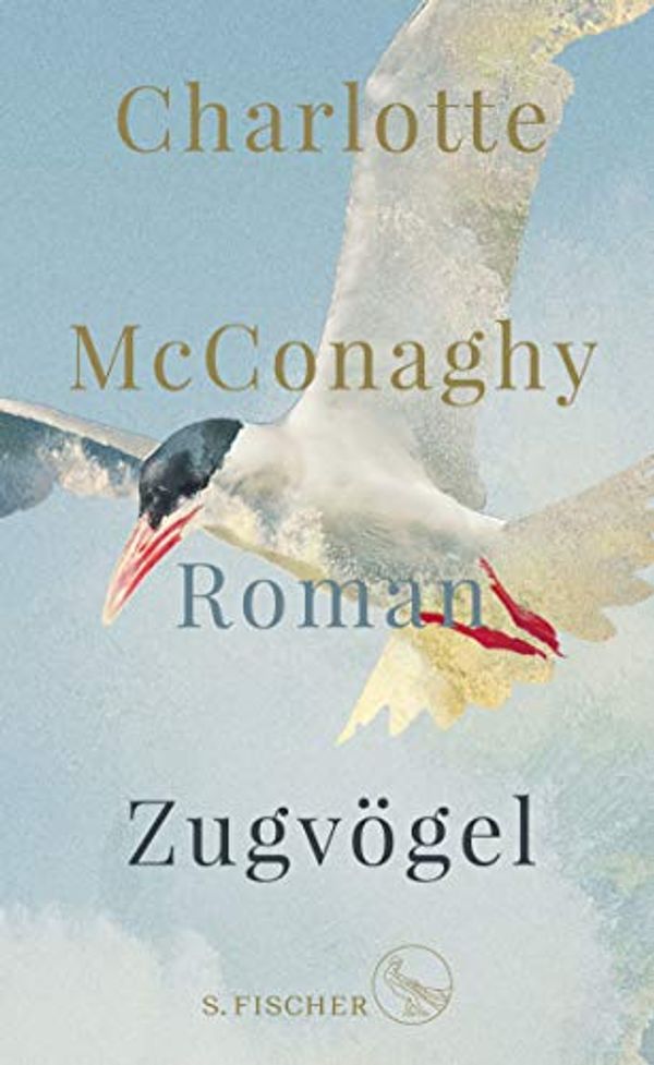 Cover Art for 9783103974706, Zugvögel by Charlotte McConaghy