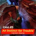 Cover Art for 9780671794873, An INSTINCT FOR TROUBLE (NANCY DREW FILES 95) by Carolyn Keene