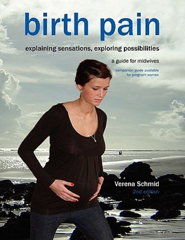 Cover Art for 9781906619237, Birth Pain: Explaining Sensations, Exploring Possibilities by Verena Schmid