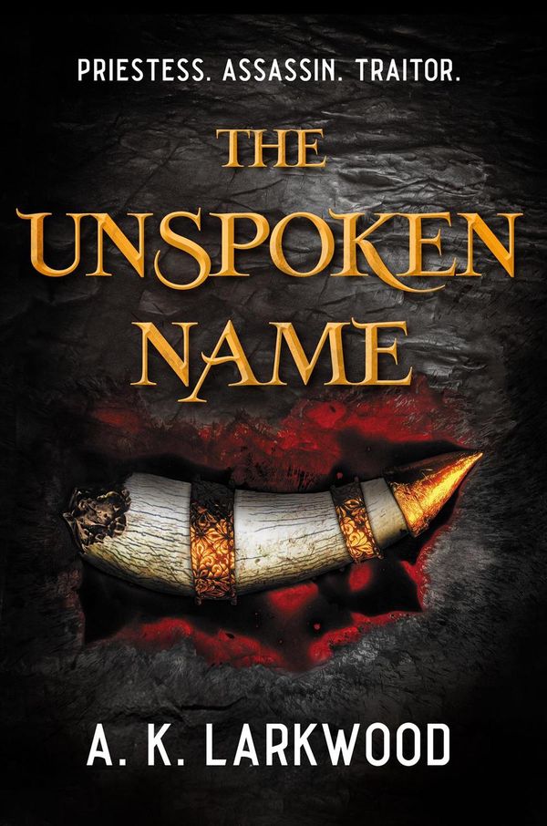 Cover Art for 9781250238900, The Unspoken Name by A. K. Larkwood