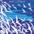 Cover Art for 9781782115472, The Outrun by Amy Liptrot