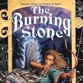 Cover Art for 9780886778156, The Burning Stone by Kate Elliott