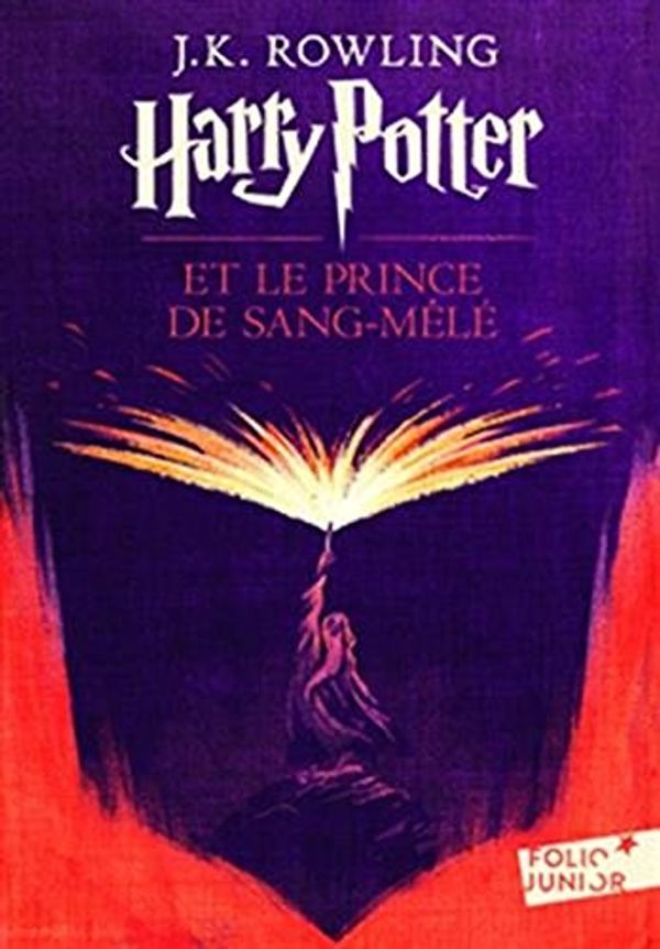 Cover Art for 9780785933199, L'\Encre et le Sang by J.k. Rowling