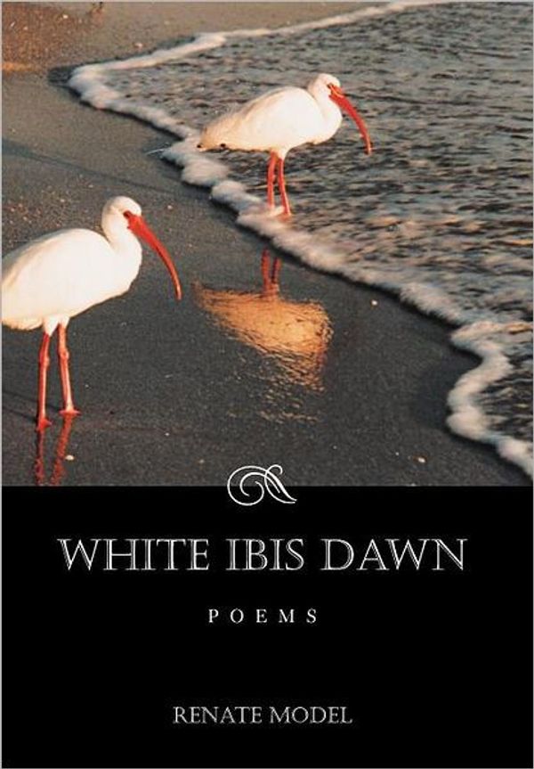 Cover Art for 9781467064637, White Ibis Dawn by Renate Model