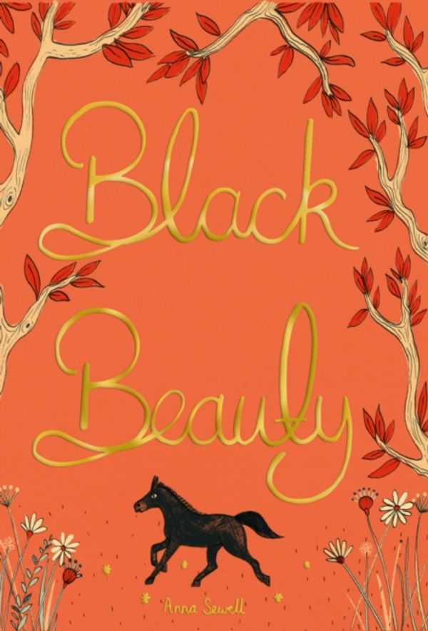 Cover Art for 9781840227871, Black Beauty (Collector's Editions) by Anna Sewell