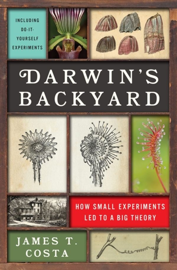 Cover Art for 9780393239898, Darwin's Backyard: How Small Experiments Led to a Big Theory by James T. Costa
