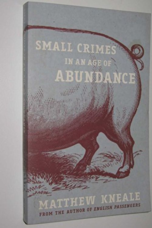 Cover Art for 9780330436175, Small Crimes in an Age of Abundance by Matthew Kneale