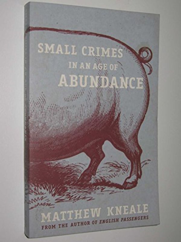 Cover Art for 9780330436175, Small Crimes in an Age of Abundance by Matthew Kneale