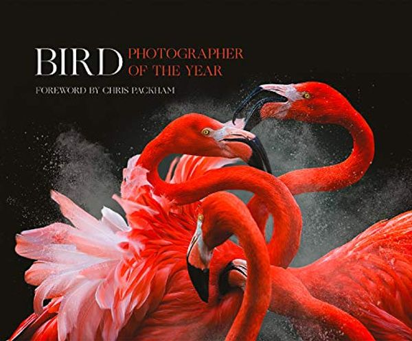 Cover Art for 9780008329624, Bird Photographer of the Year: Collection 3 by Bird Photographer of the Year