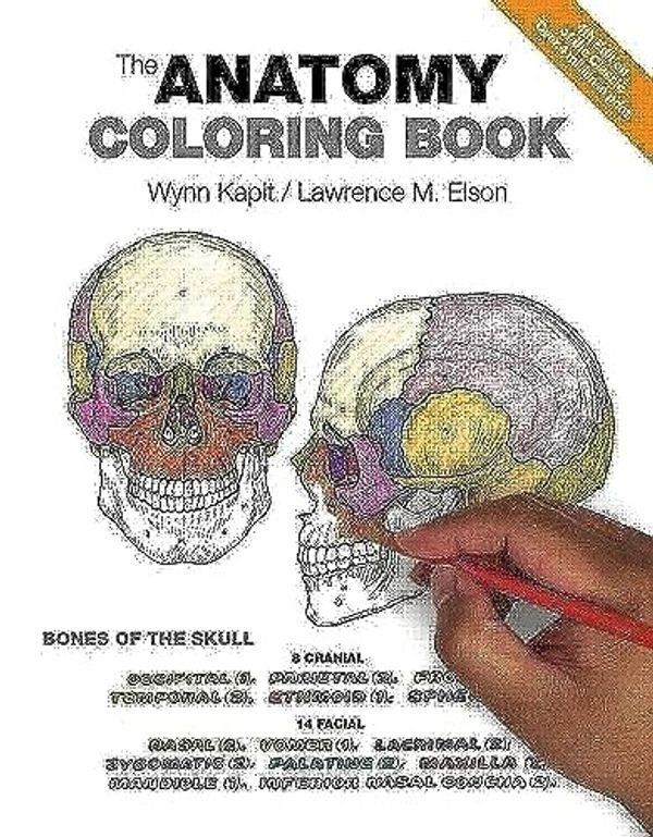 Cover Art for 0642688054786, The Anatomy Coloring Book by Wynn Kapit, Lawrence Elson