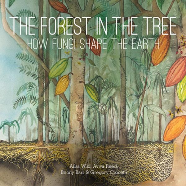 Cover Art for 9781486313310, The Forest in the Tree: How Fungi Shape the Earth by Ailsa Wild, Aviva Reed, Briony Barr, Gregory Crocetti