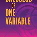 Cover Art for 0800759838066, Calculus of One Variable by Joseph Kitchen